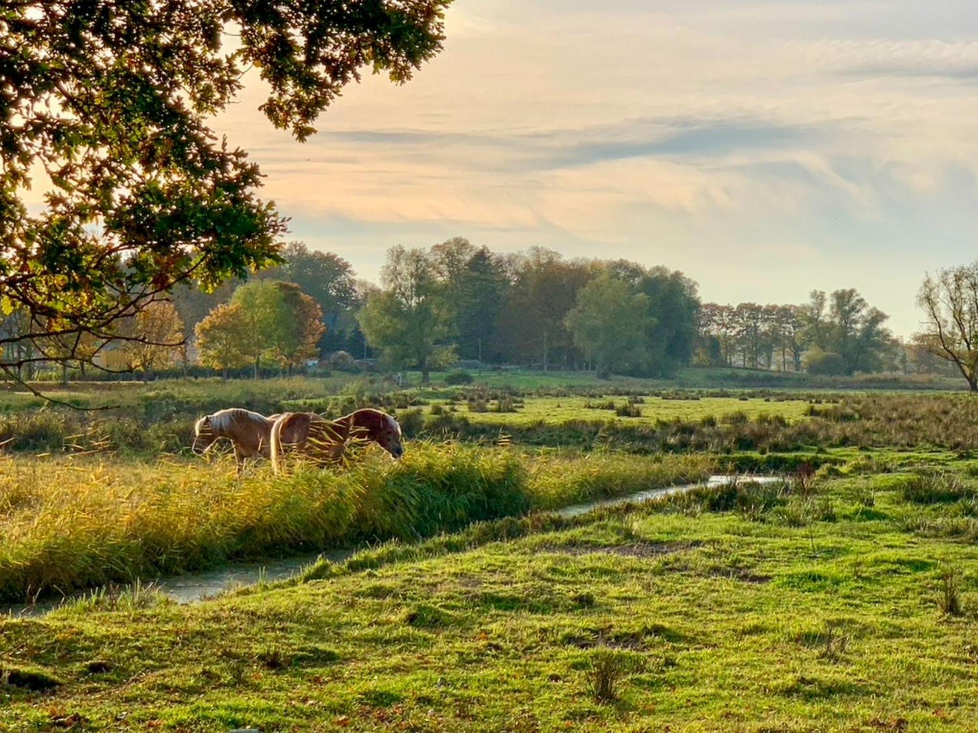 Ferienwohnungen Klein Kapelle Gingst Extérieur photo