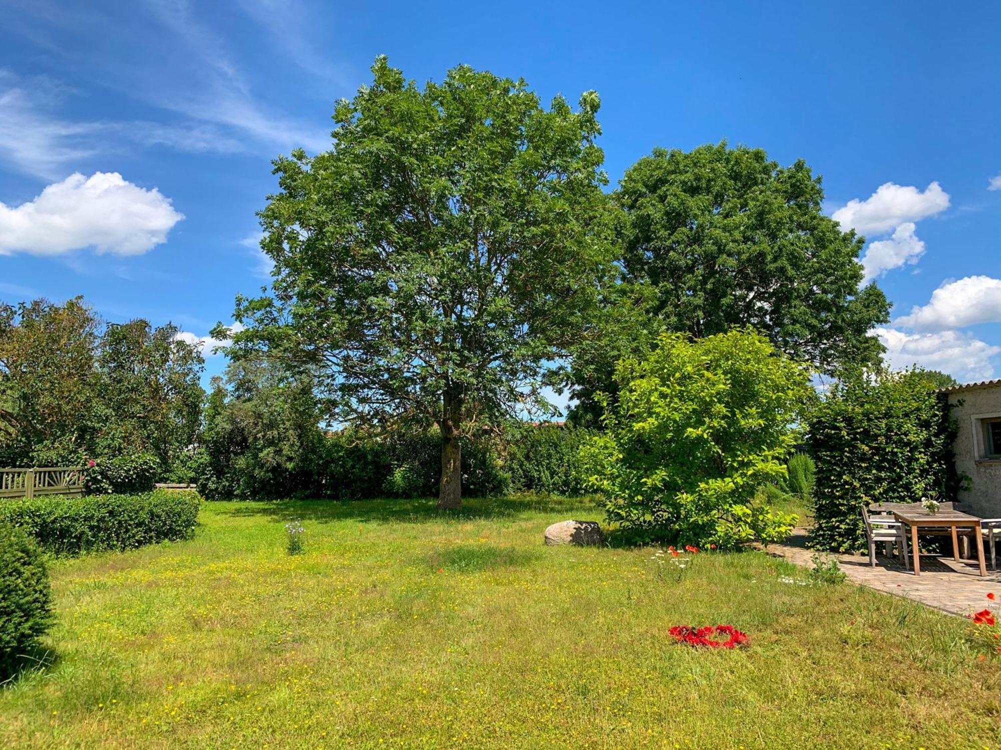 Ferienwohnungen Klein Kapelle Gingst Extérieur photo